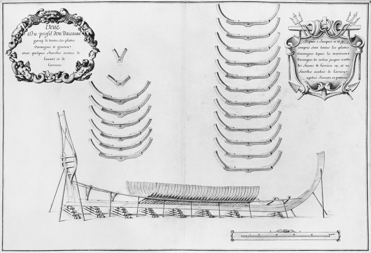 Profile of a Vessel with All Its Floor Plates, Illustration from the 