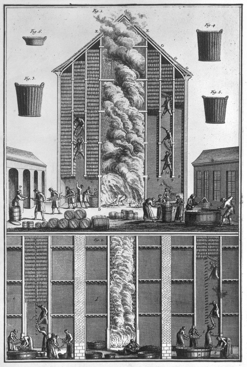 Smoking Herrings by French School