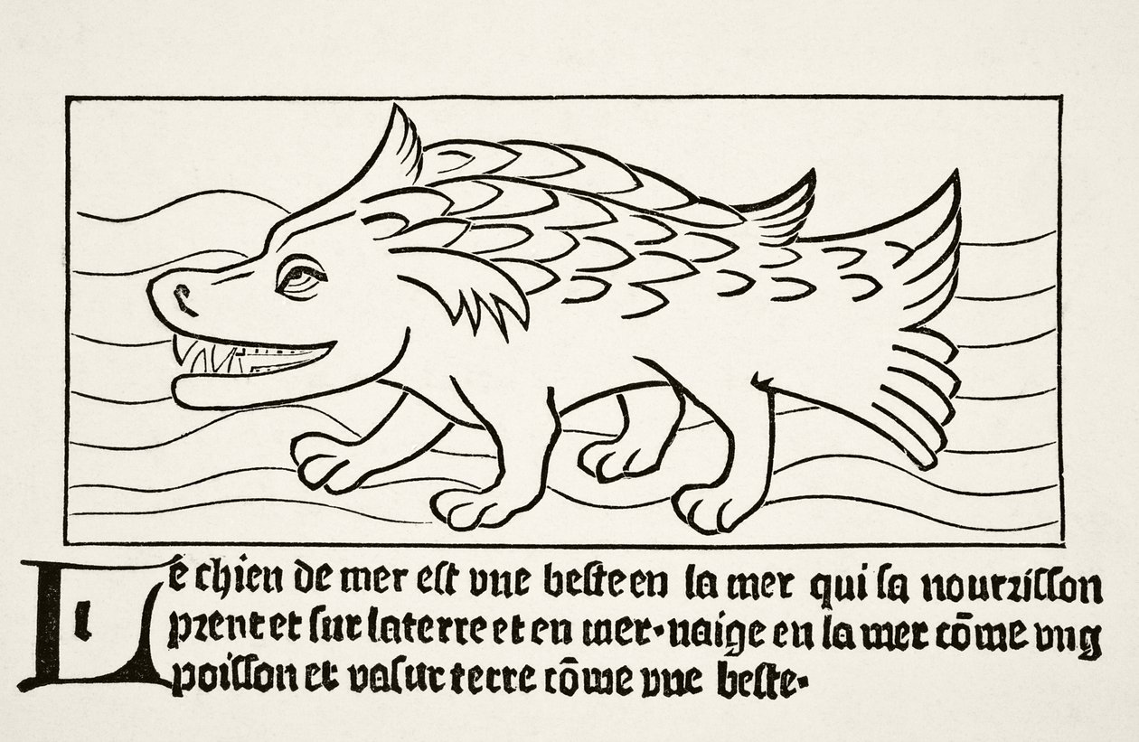 The Sea-Dog, from 
