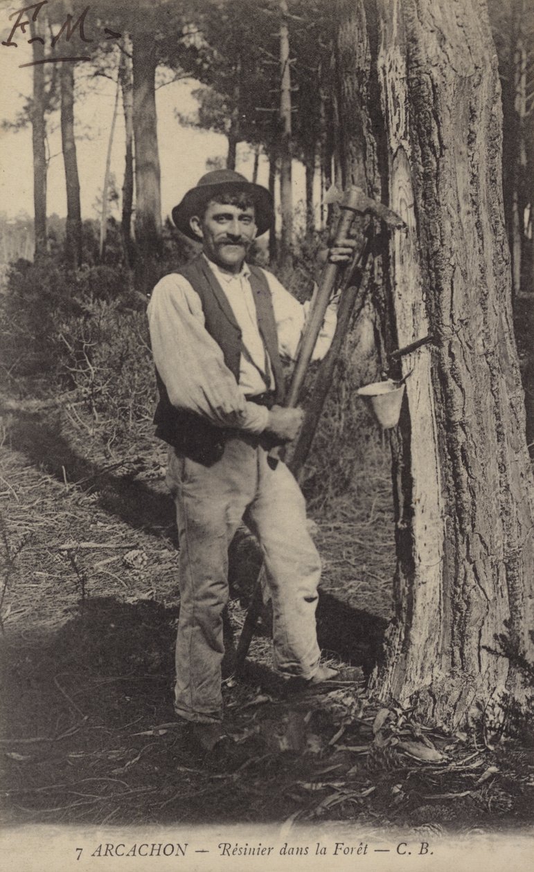 Arcachon, Resinier in the Forest by French Photographer