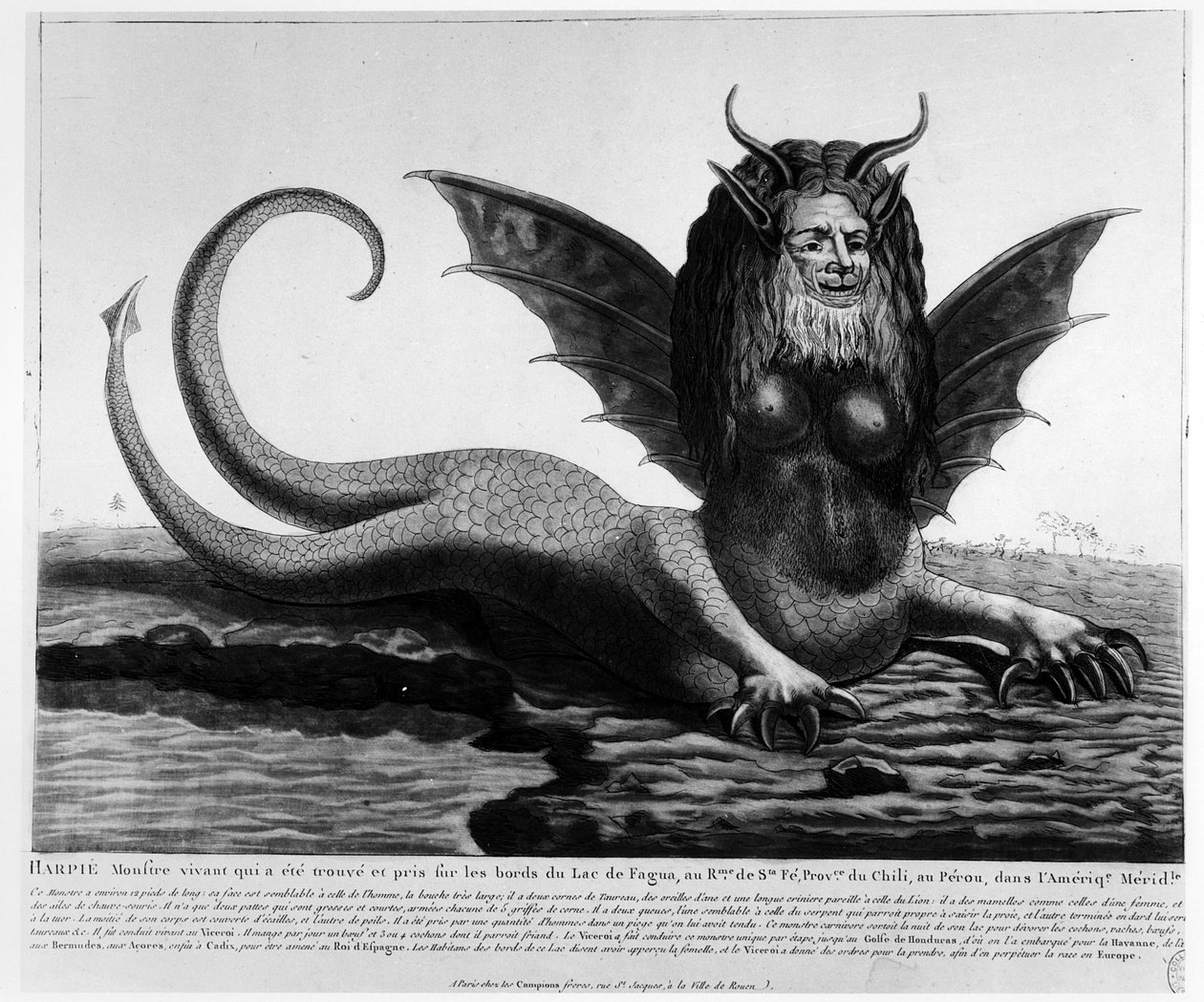 A Harpie by French School