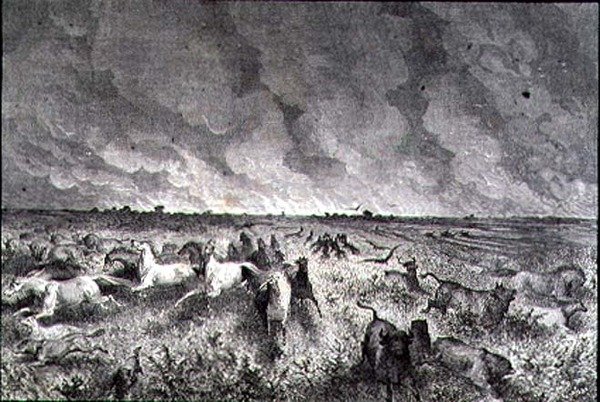 Animals Fleeing a Prairie Fire by French School