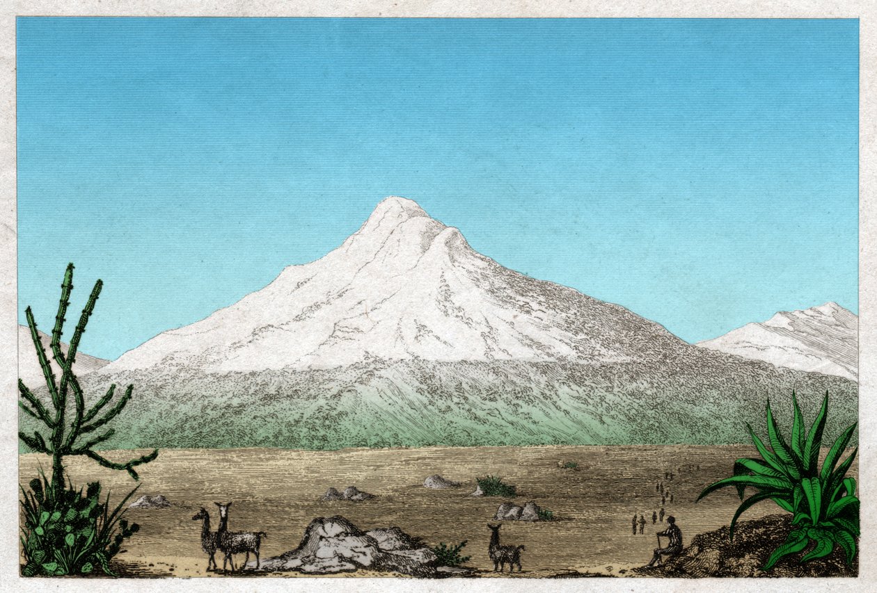 Chimborazo Volcano by French School