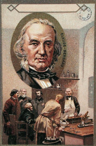 Claude Bernard by French School