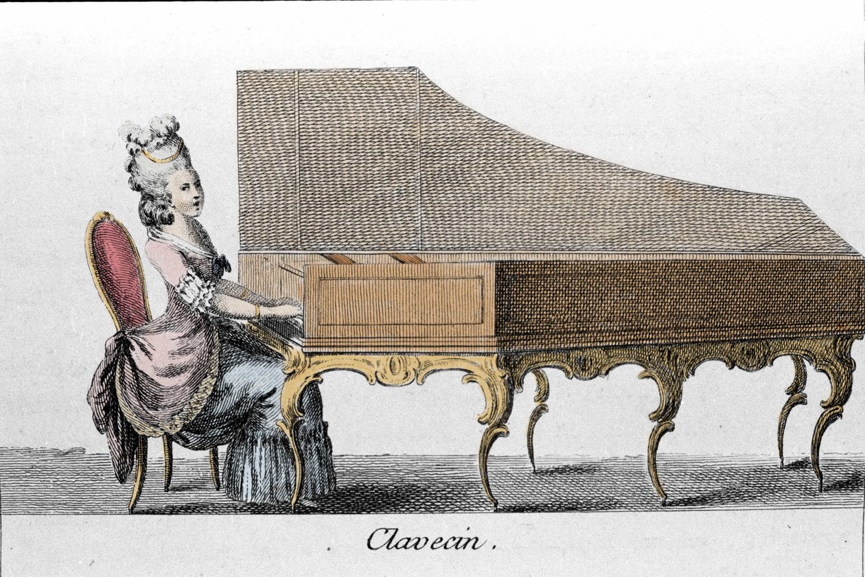 Harpsichord player by French School