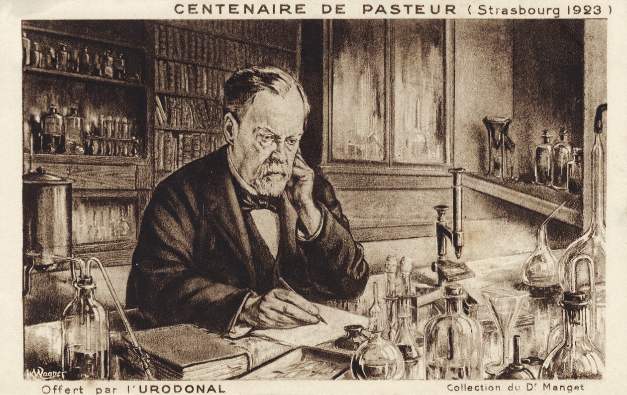 Louis Pasteur by French School