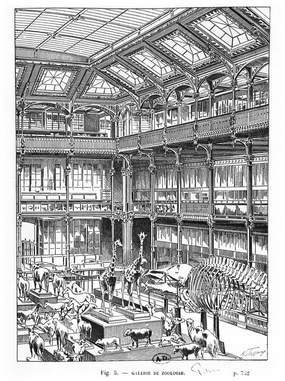 Museum of Natural History in Paris by French School