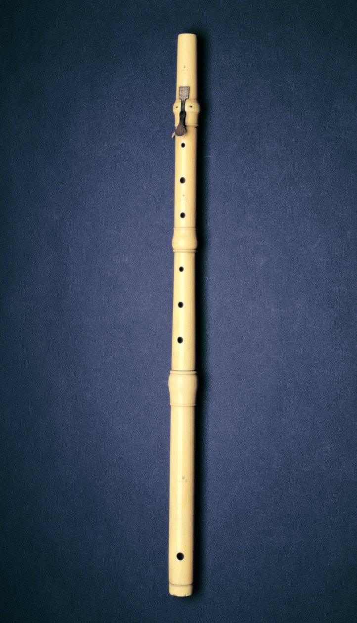 One-Keyed Flute, Made by Naust, Paris by French School