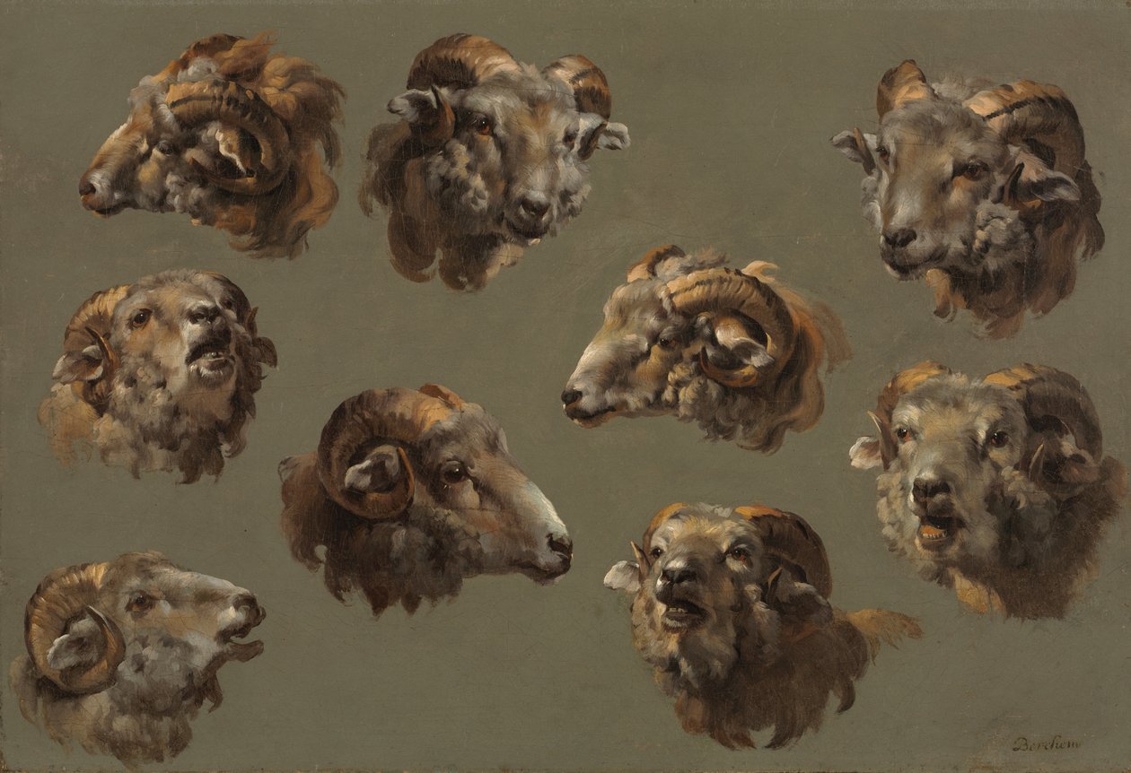 Studies of Ram Heads by French School