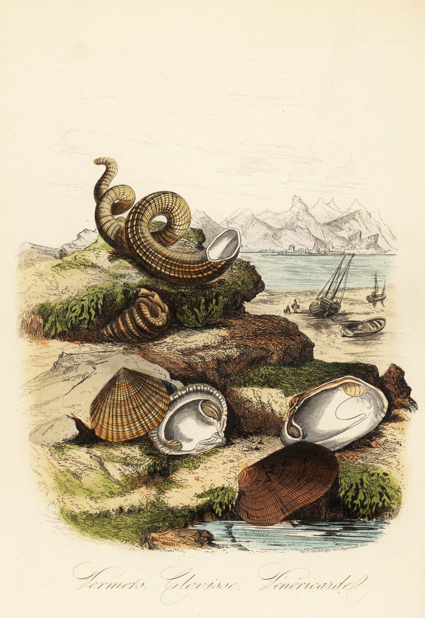 Unknown Image by French School