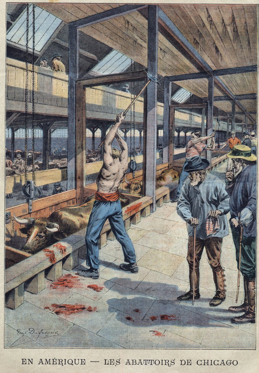 View of the Slaughterhouses in Chicago, USA by French School