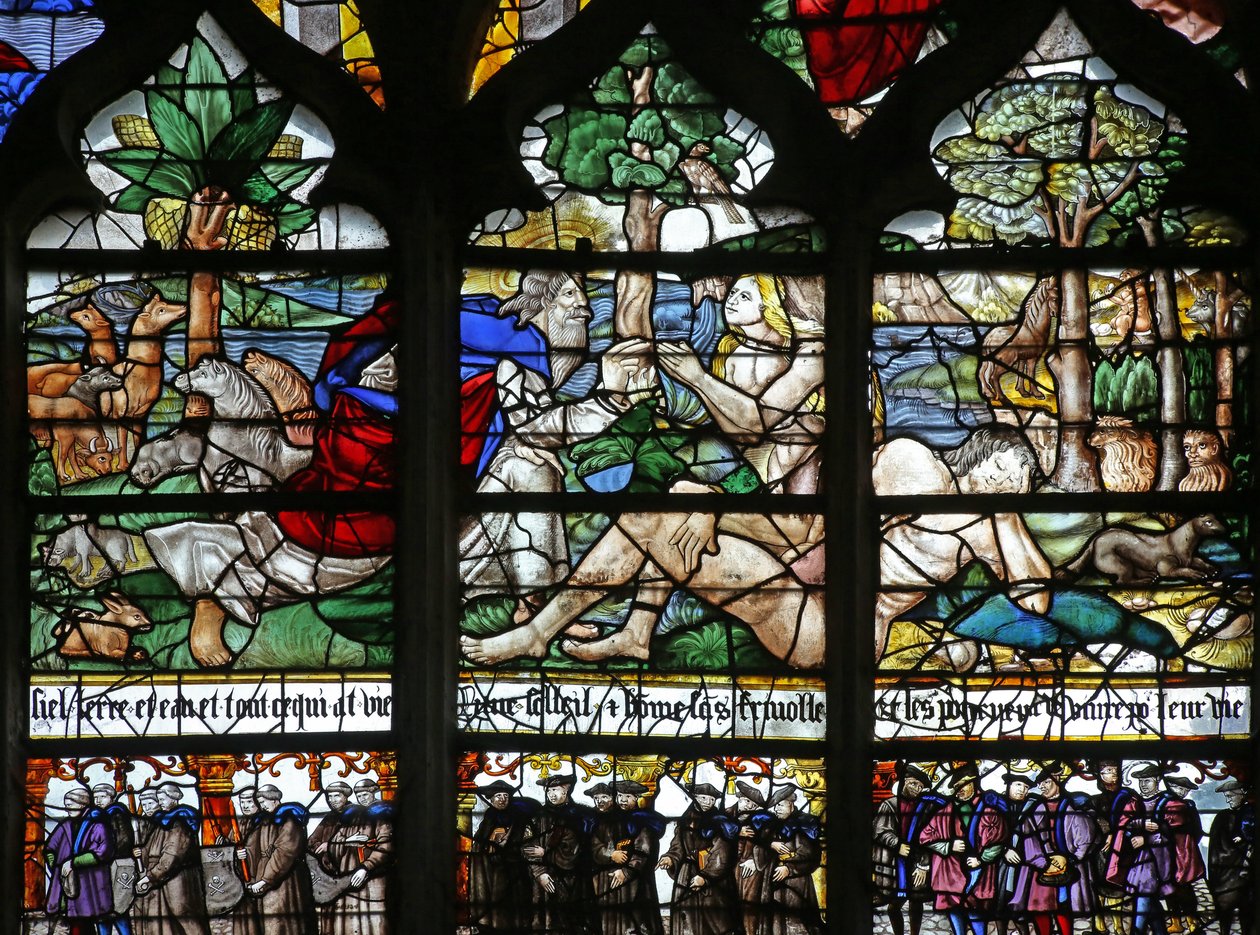 Window w120 depicting the Creation of Eve by French School