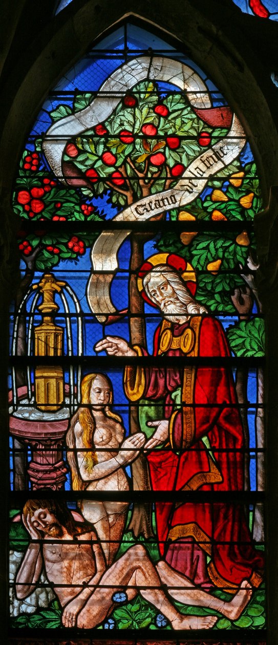 Window 40 depicting the Creation of Eve by French School