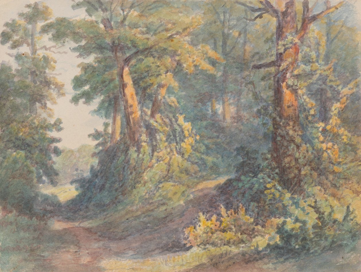 Forest Scenery by Friedrich Carl von Scheidlin