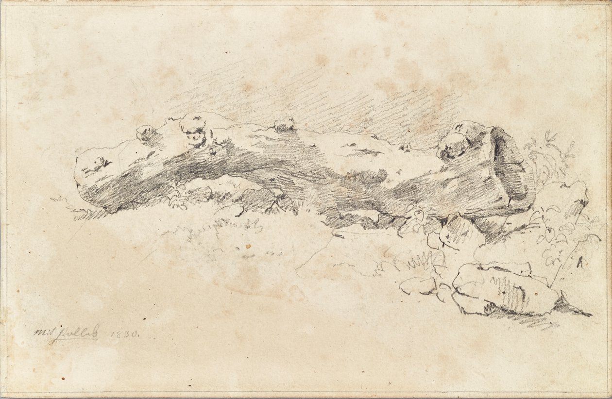 Lying Hollow Tree Trunk by Friedrich August Mathias Gauermann