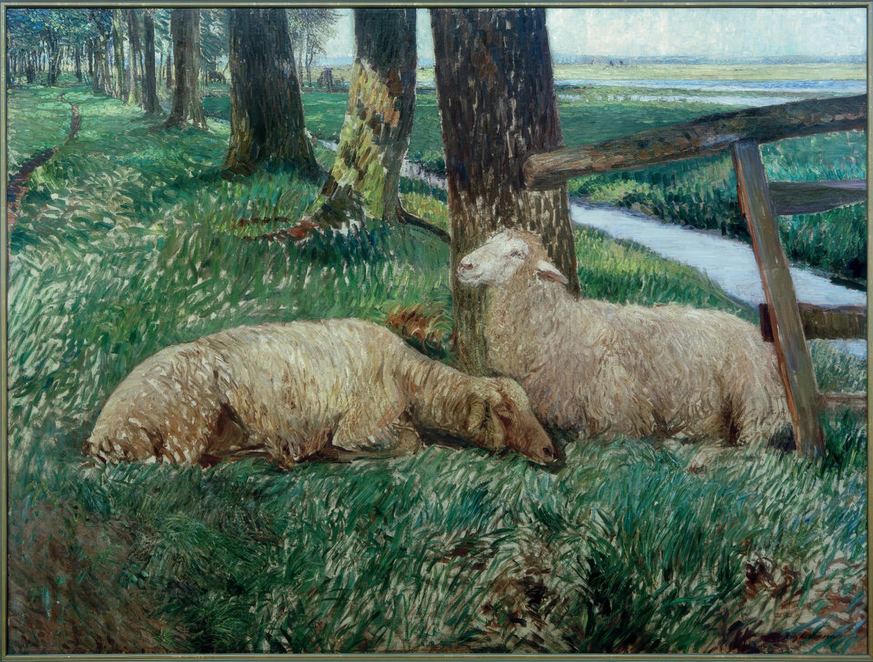 Sheep Resting by Fritz Mackensen