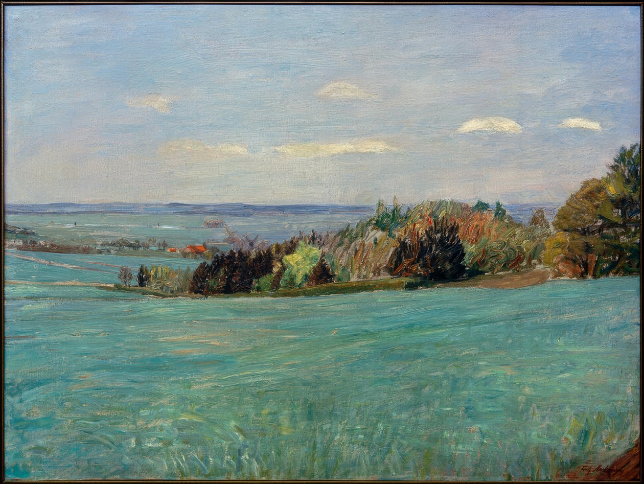 View from Weyerberg by Fritz Mackensen