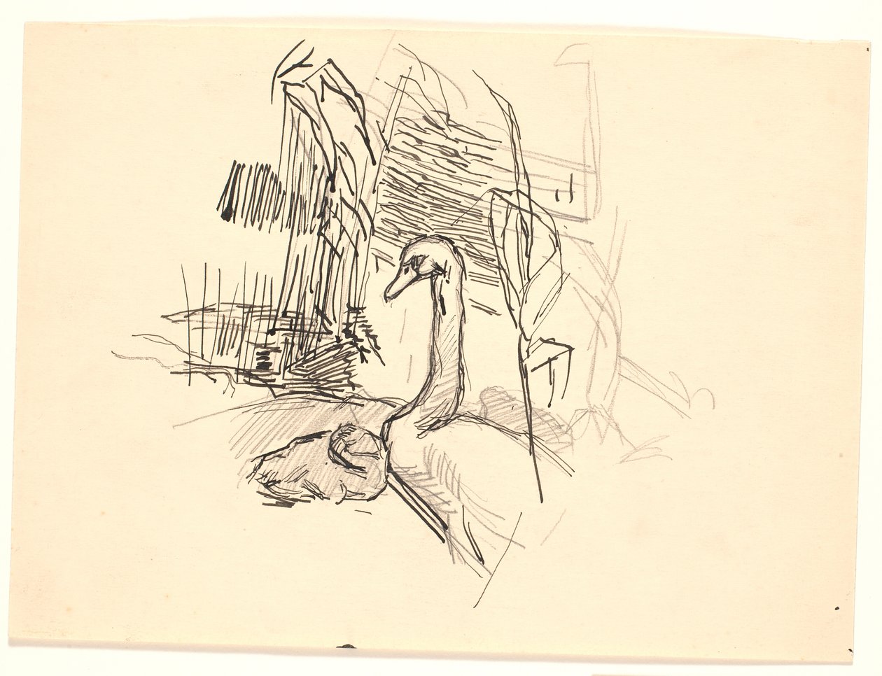 A Swan with Cygnets by Fritz Syberg