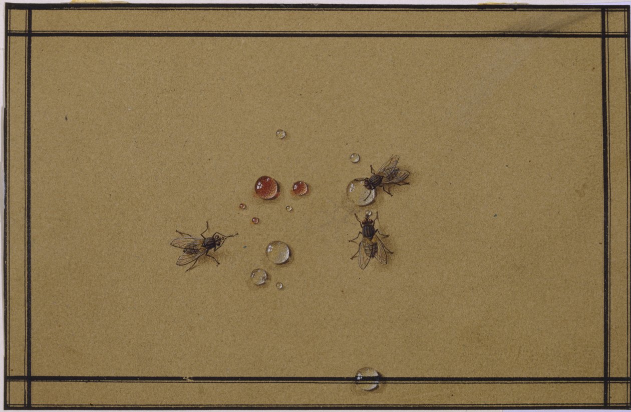 The Flies at the Waterdrops by Fyodor Petrovich Tolstoy