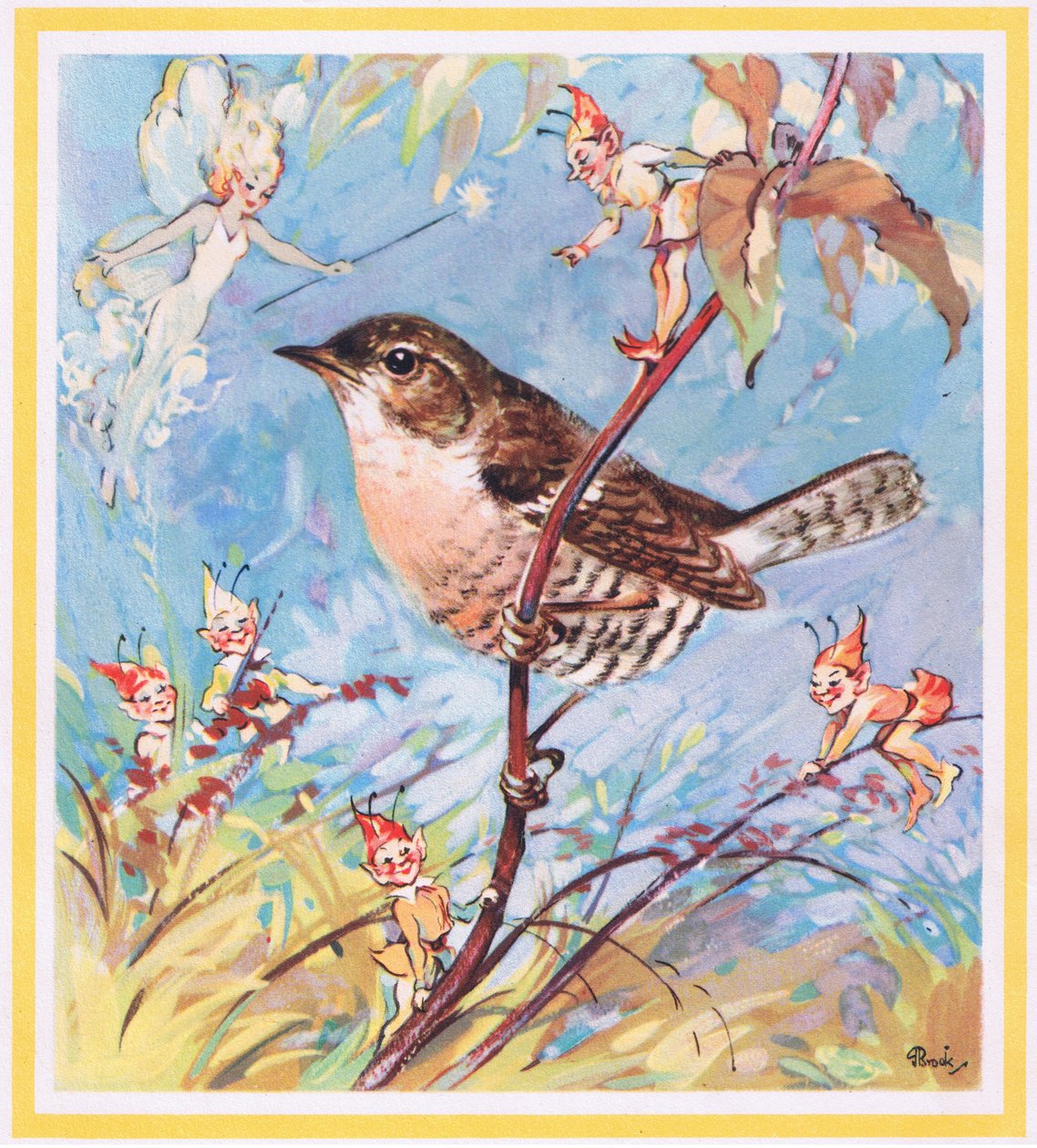 Wren by G. Brooks