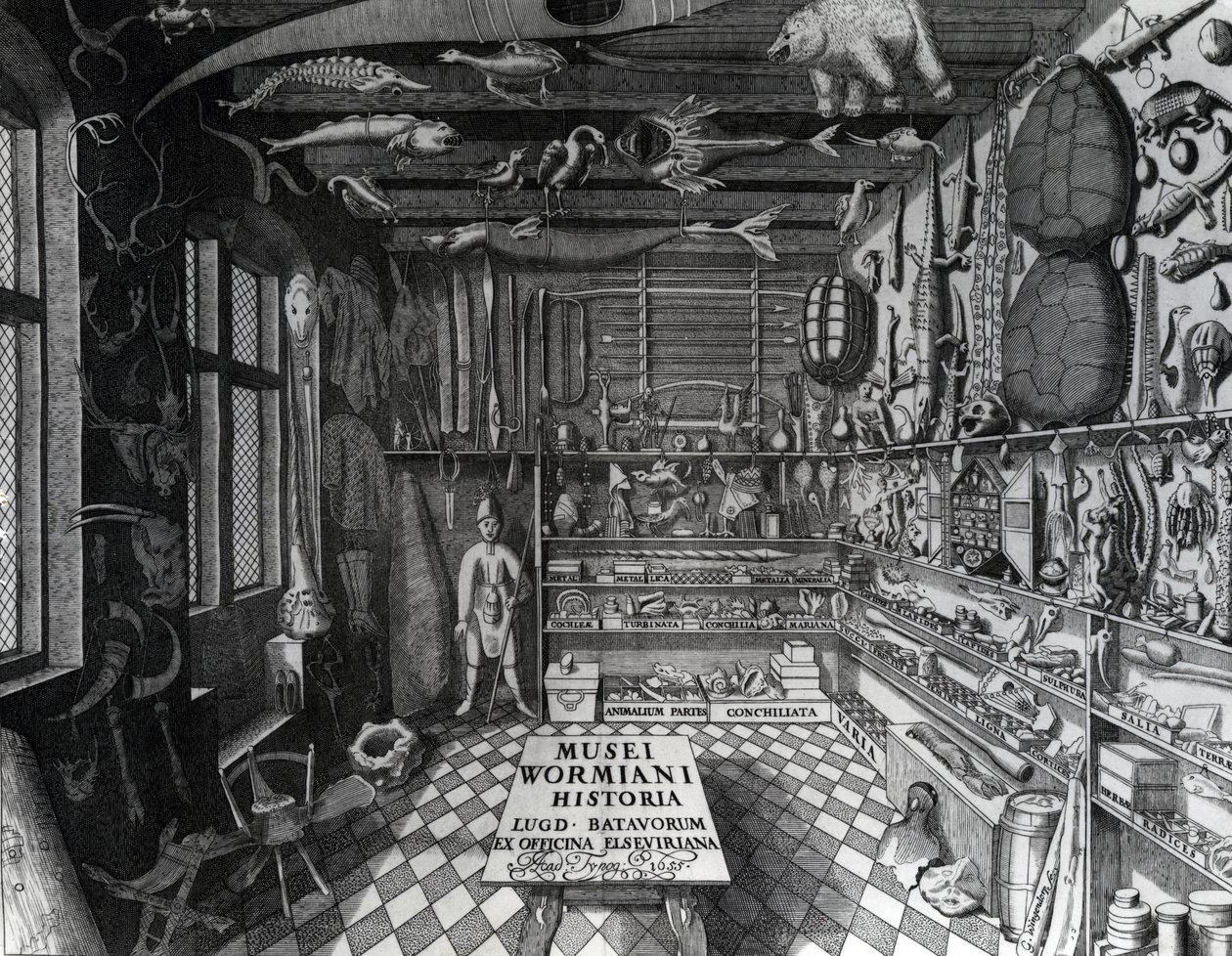 Frontispiece of Ole Worm