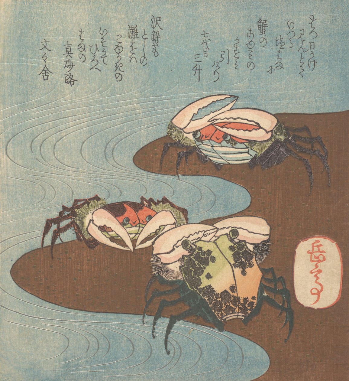 Crabs Near the Water