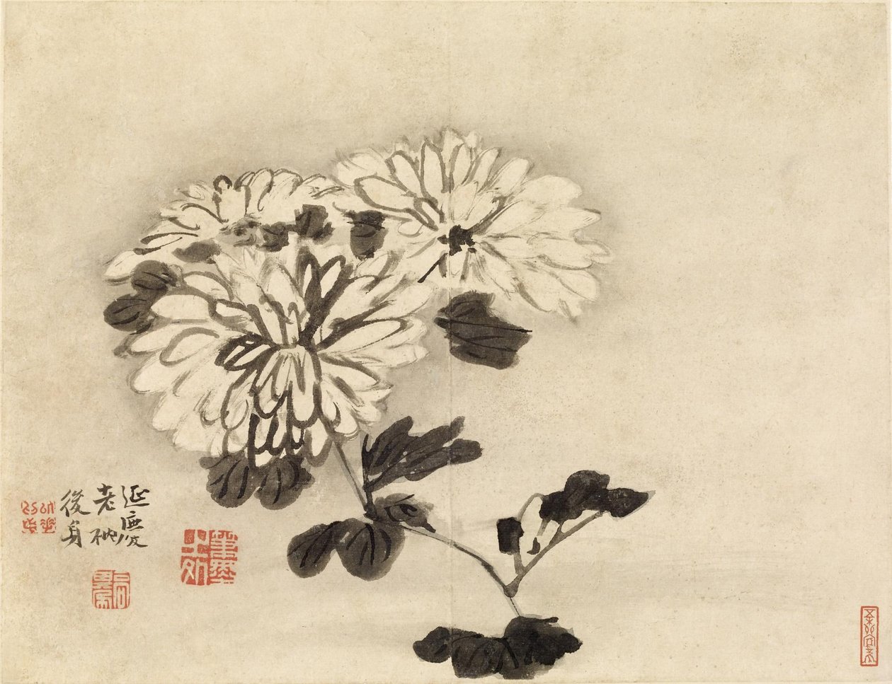 Chrysanthemums by Gao Qipei