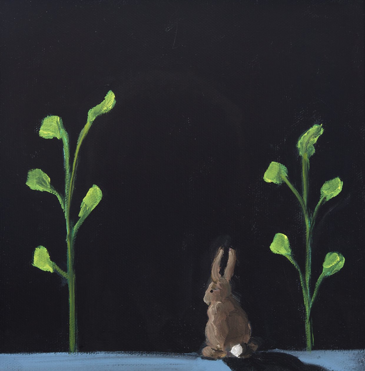 Night Rabbit by Genevieve French