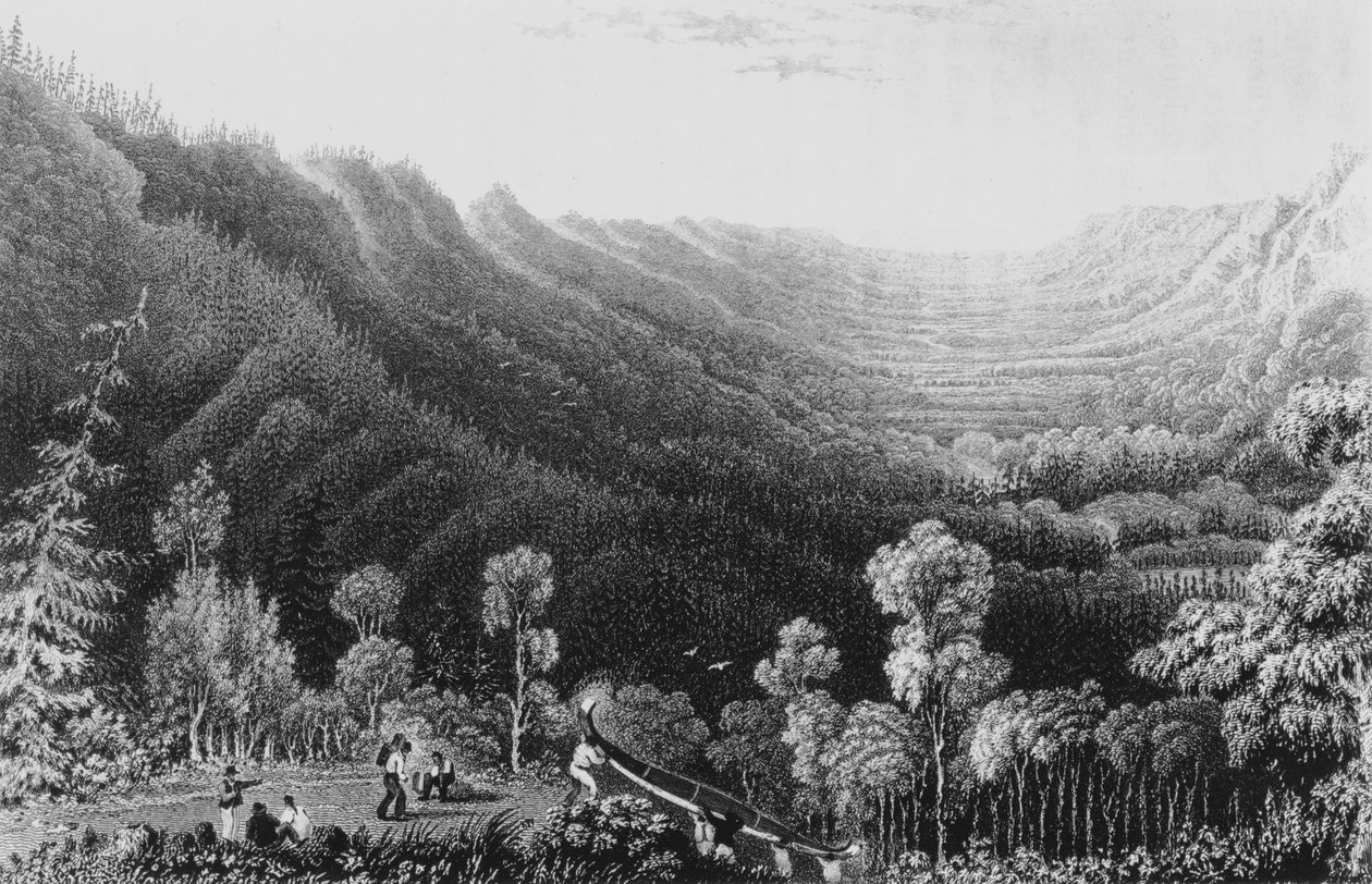 Vale of the Clearwater River from the Methye Portage by George Back