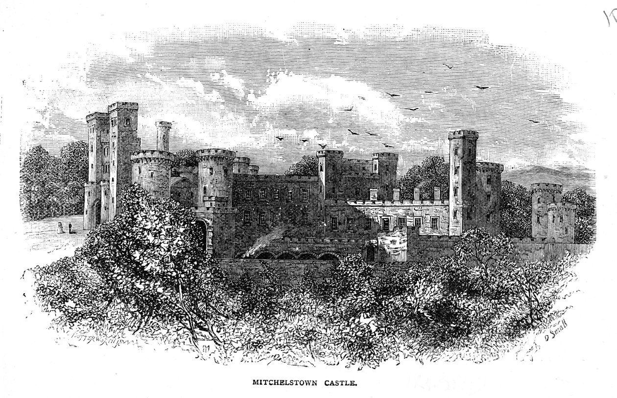 Mitchelstown Castle, Engraved by D. Small by George Butterworth