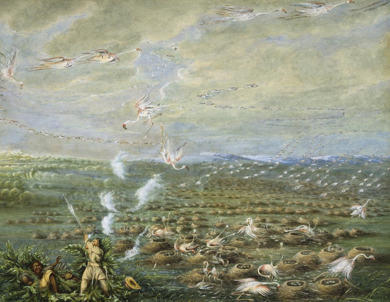 Flamingo Shooting in South America by George Catlin