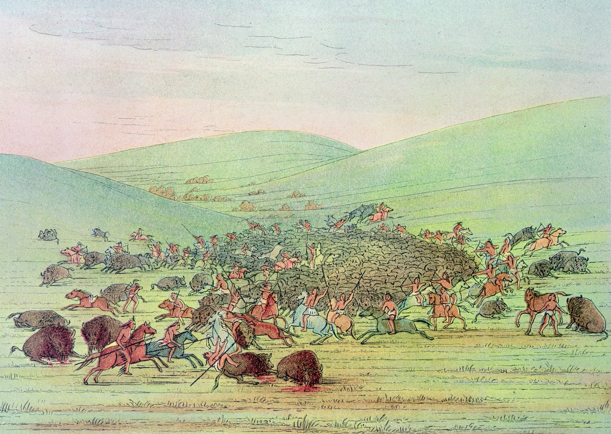 Minatarees Attacking Buffalo on Horseback by George Catlin