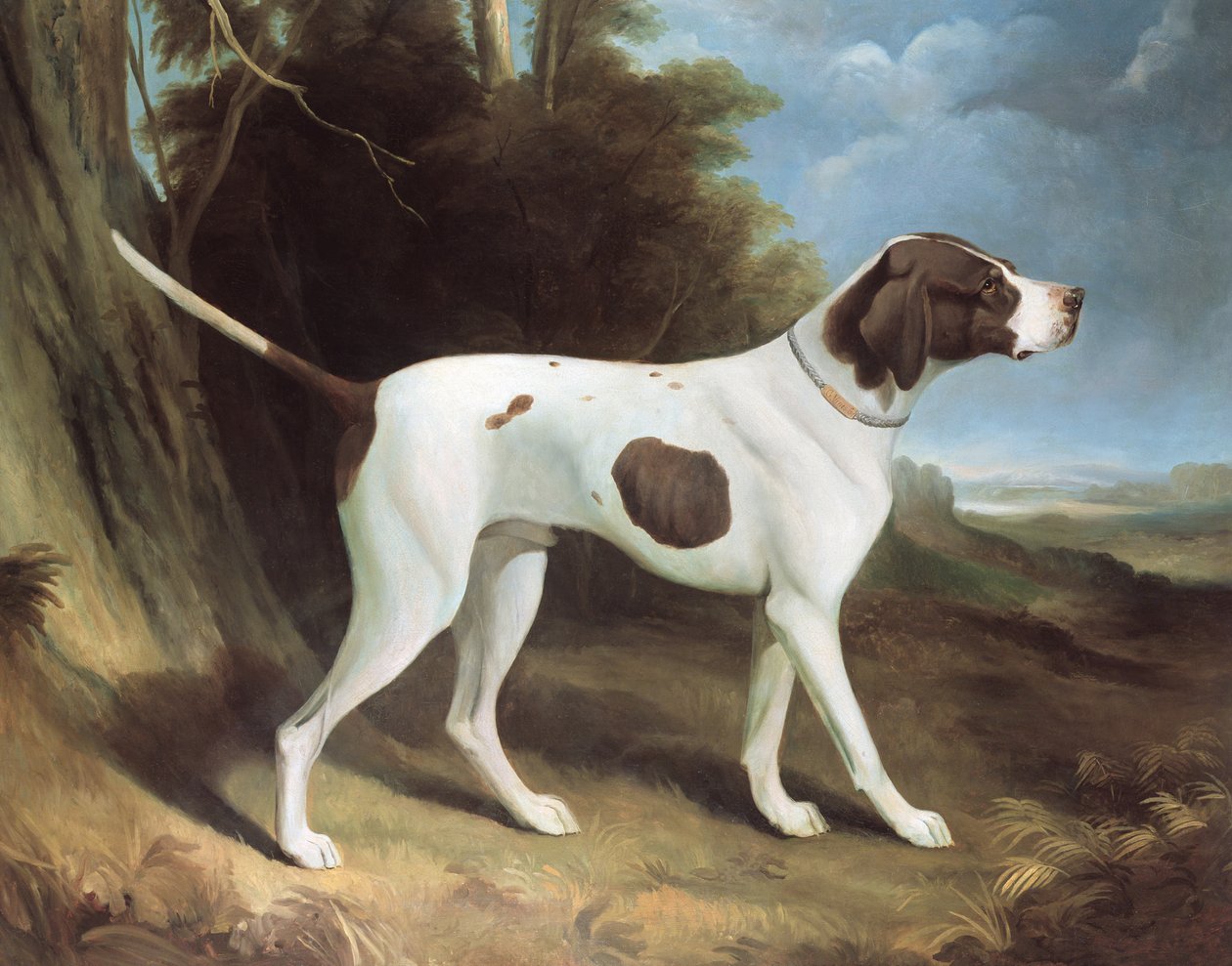 Portrait of a Liver and White Pointer by George Garrard