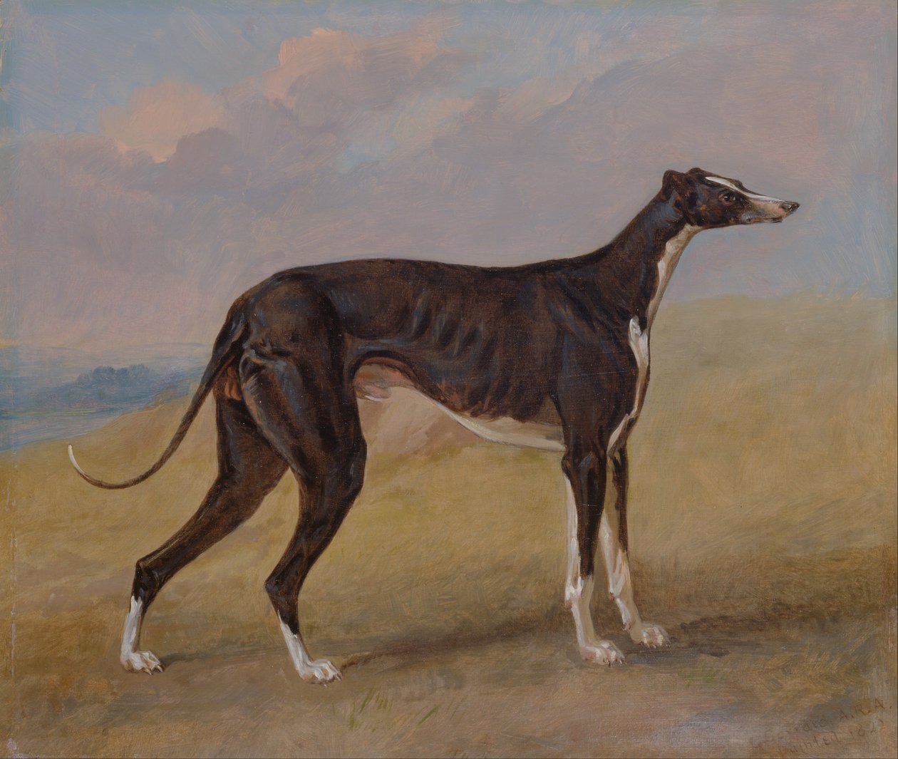 Turk, a Greyhound, the Property of George Lane Fox by George Garrard