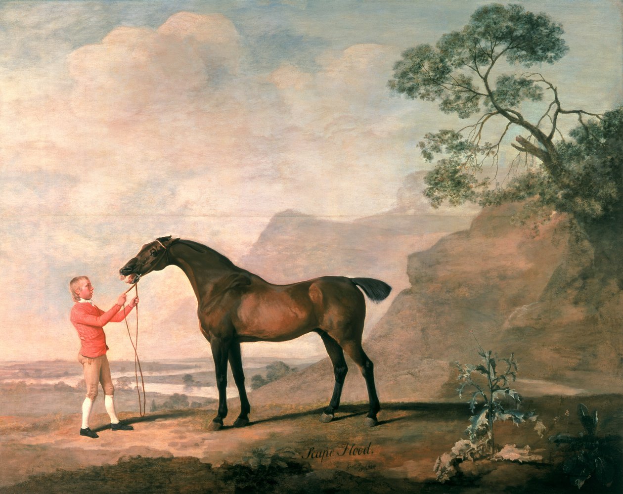 Scapeflood by George Stubbs