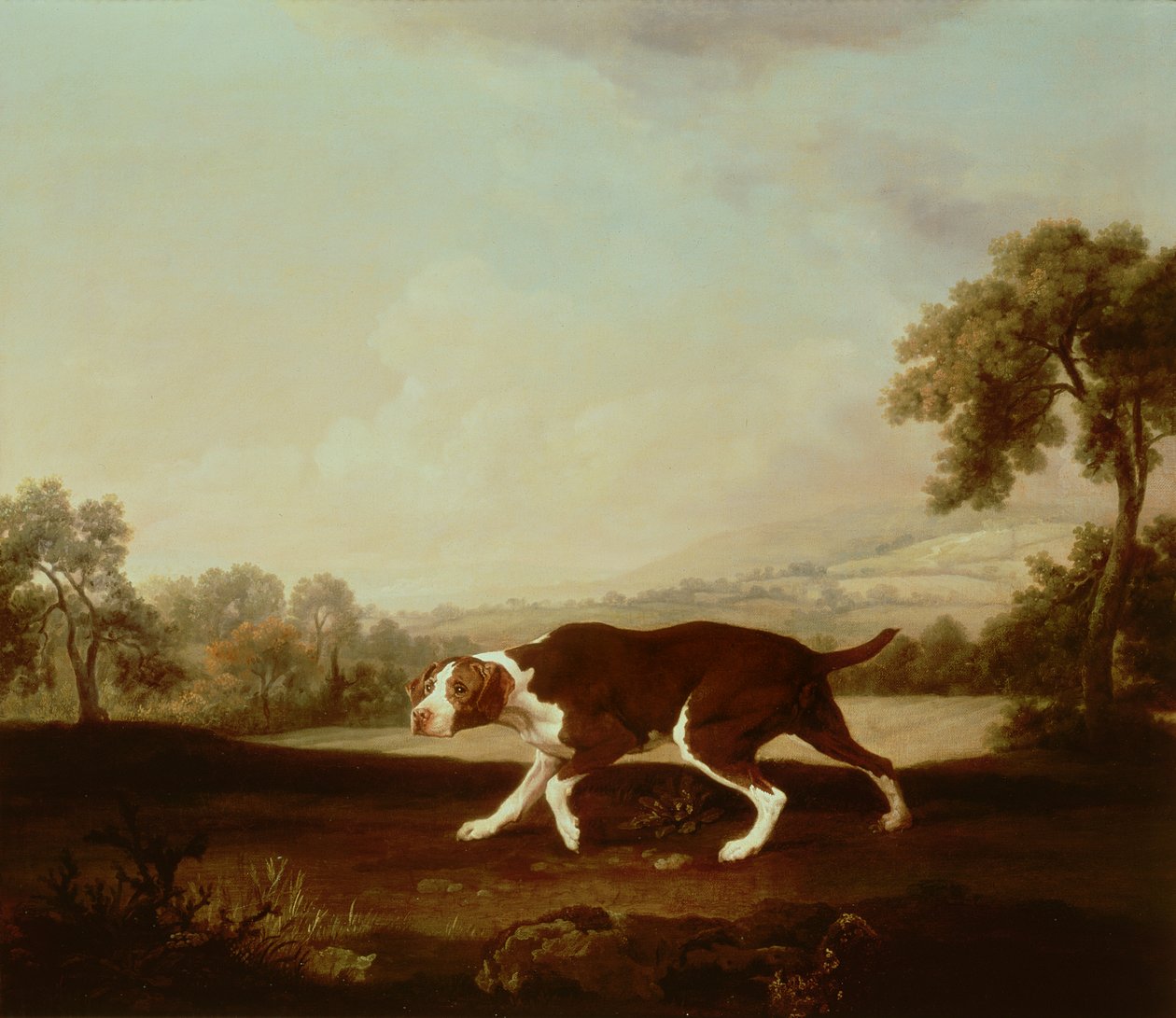 Spanish Pointer by George Stubbs