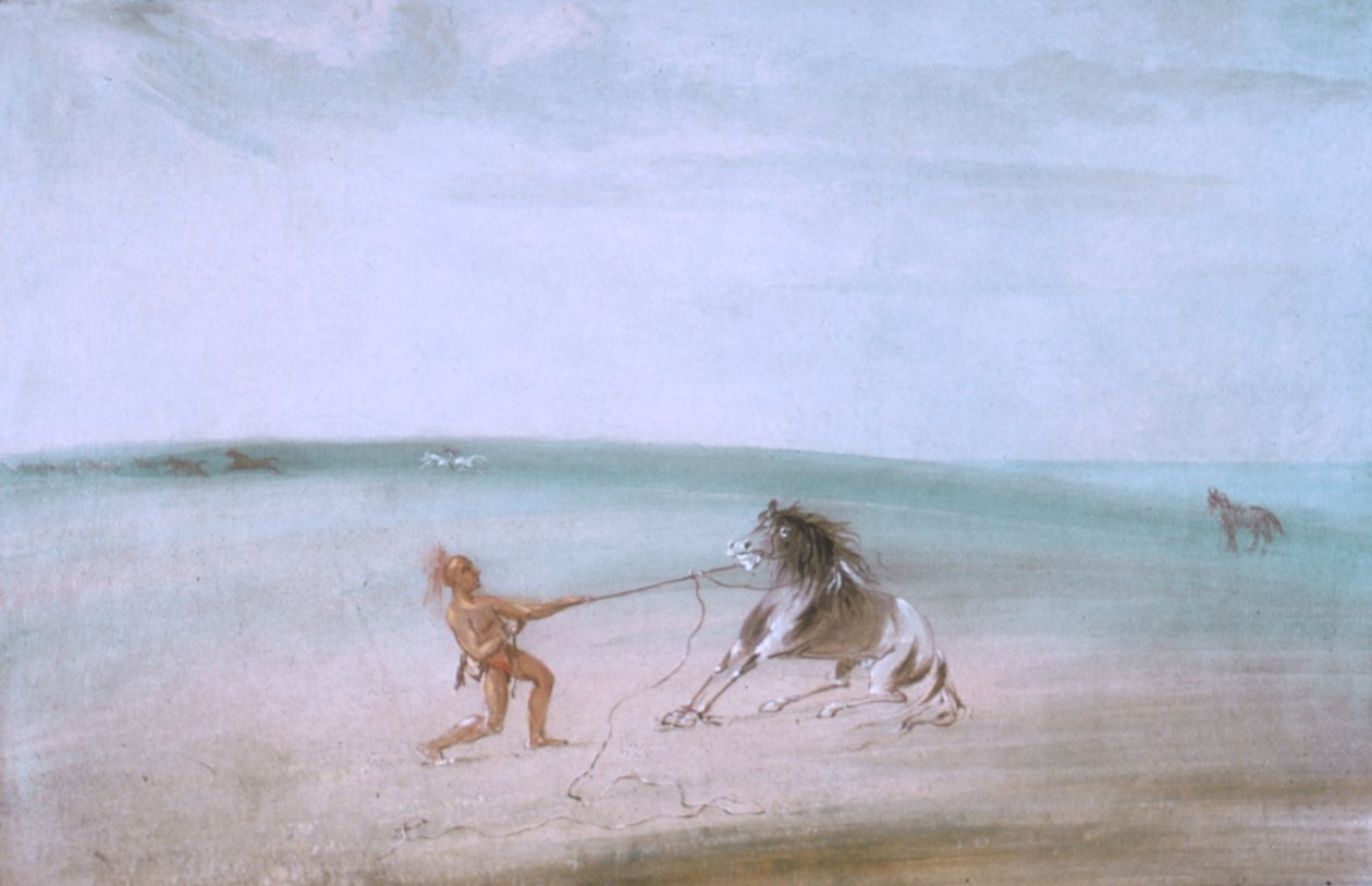 Breaking Down the Wild Horse by George Catlin