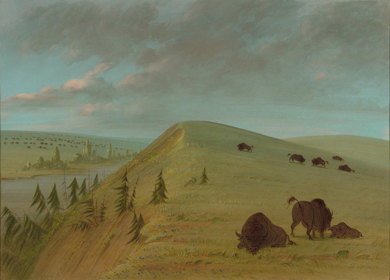 Cedar Bluffs by George Catlin