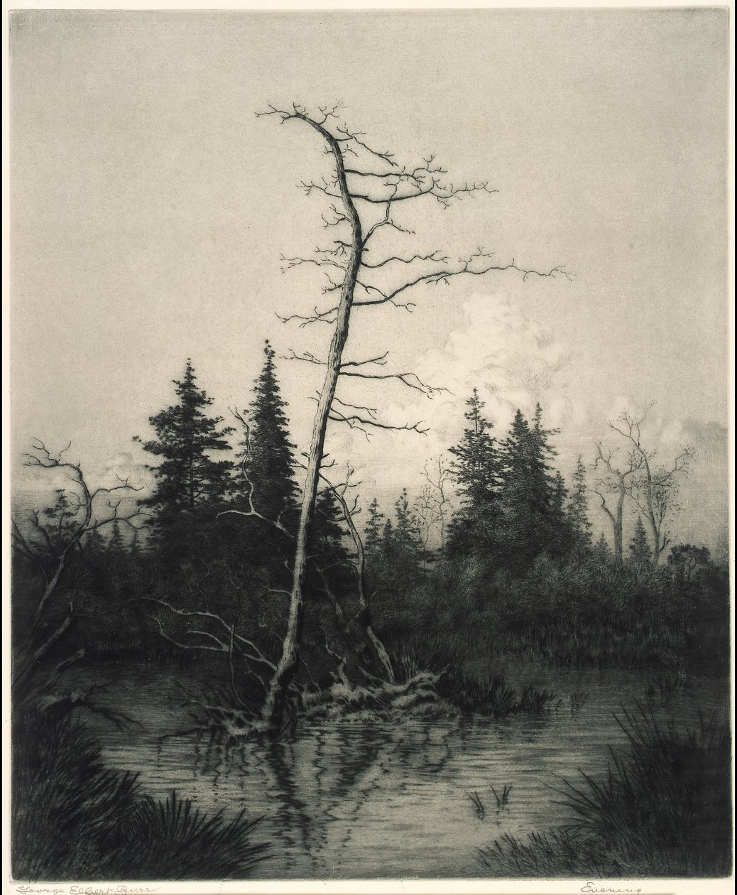 Evening by George Elbert Burr