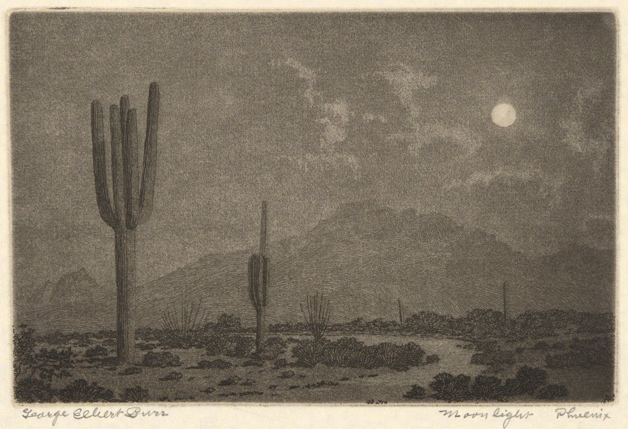 Moonlight-Phoenix by George Elbert Burr