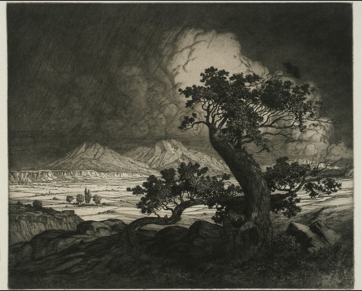 Old Cedars and Spanish Peaks by George Elbert Burr