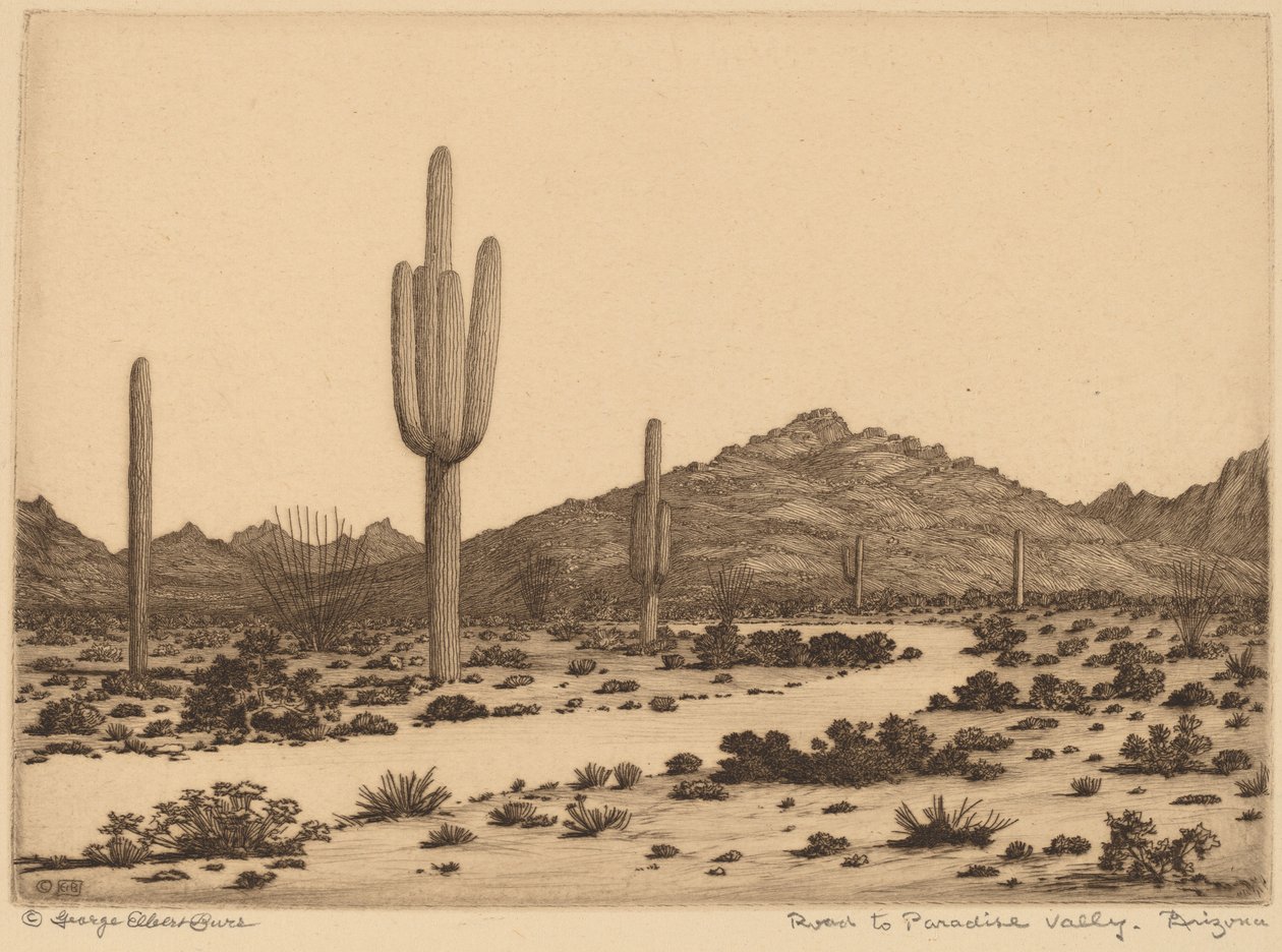 Road to Paradise Valley, Arizona by George Elbert Burr