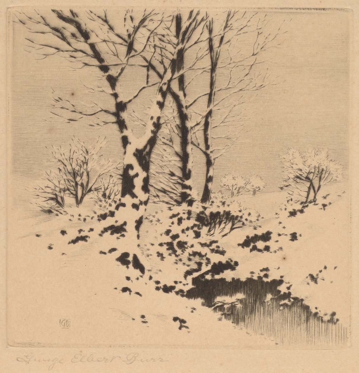 Snow by George Elbert Burr