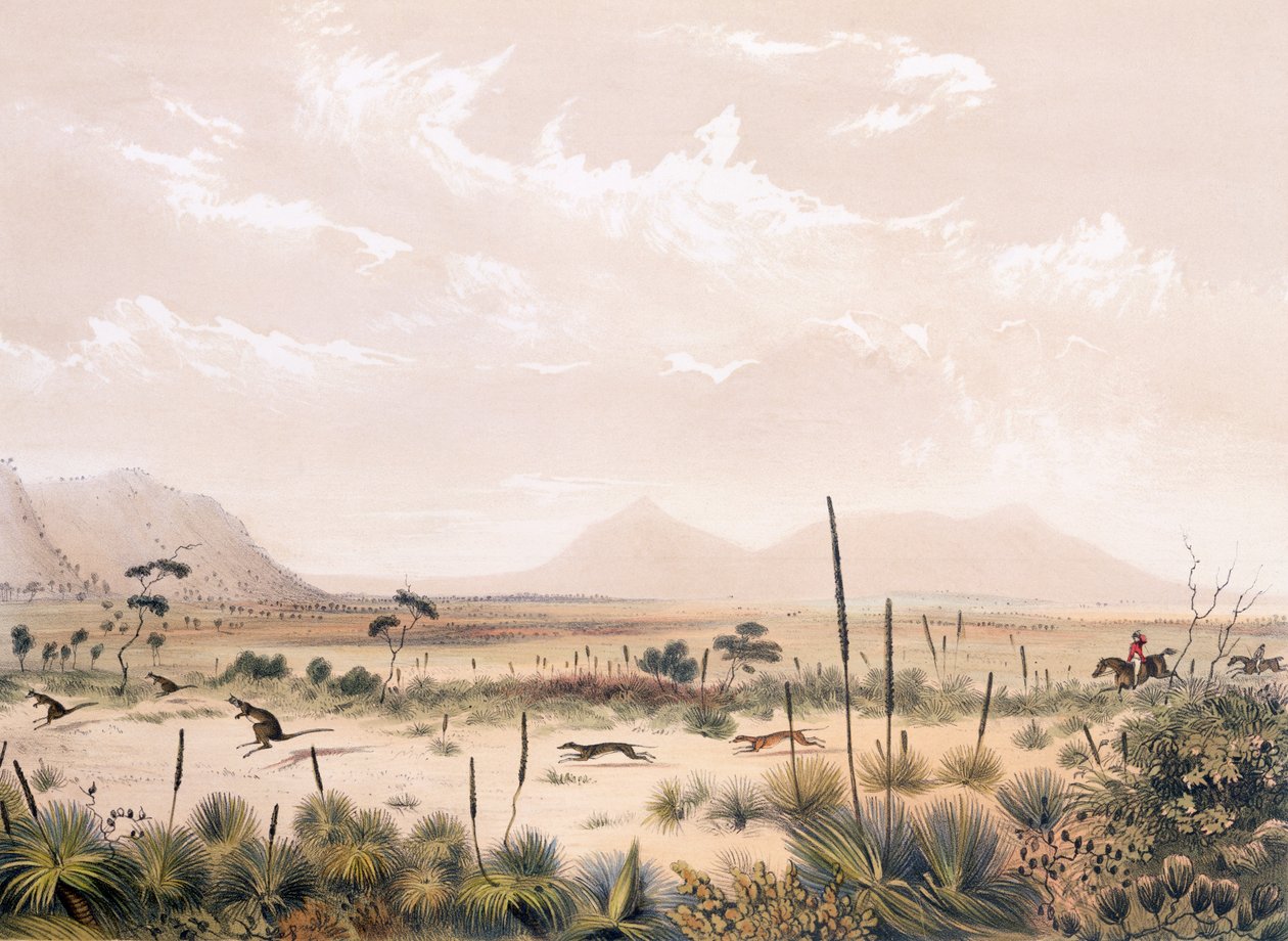Kangaroo Hunt by George French Angas