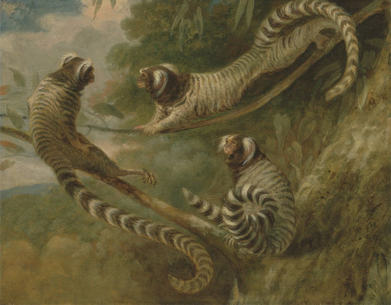 A Marmoset in Three Attitudes by George Garrard