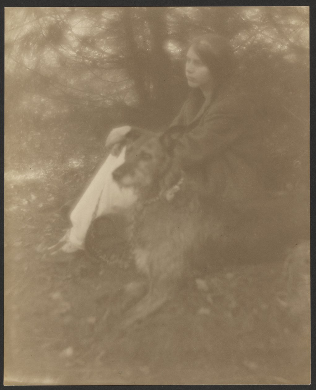 Seated Woman with Dog by George H. Seeley