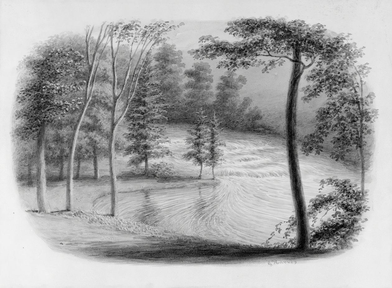 A Brook from Hosack Album by George Harvey
