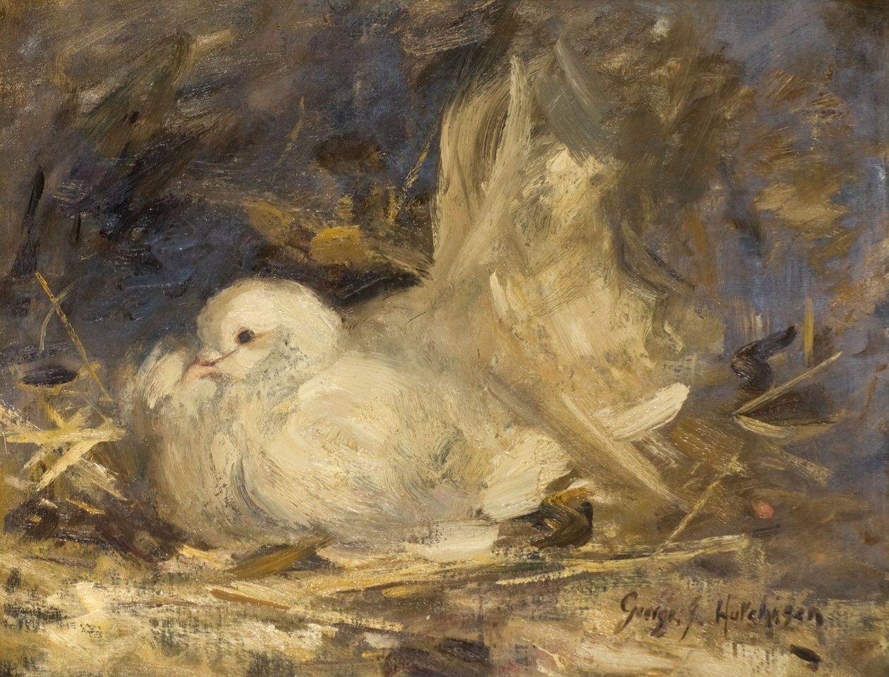 The Brooding Dove by George Jackson Hutchison