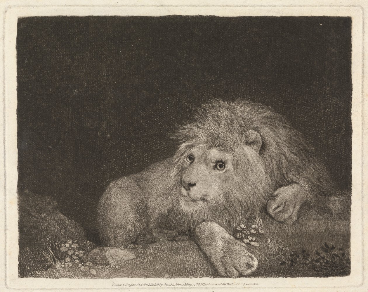 A Lion [A recumbent Lion] by George Stubbs