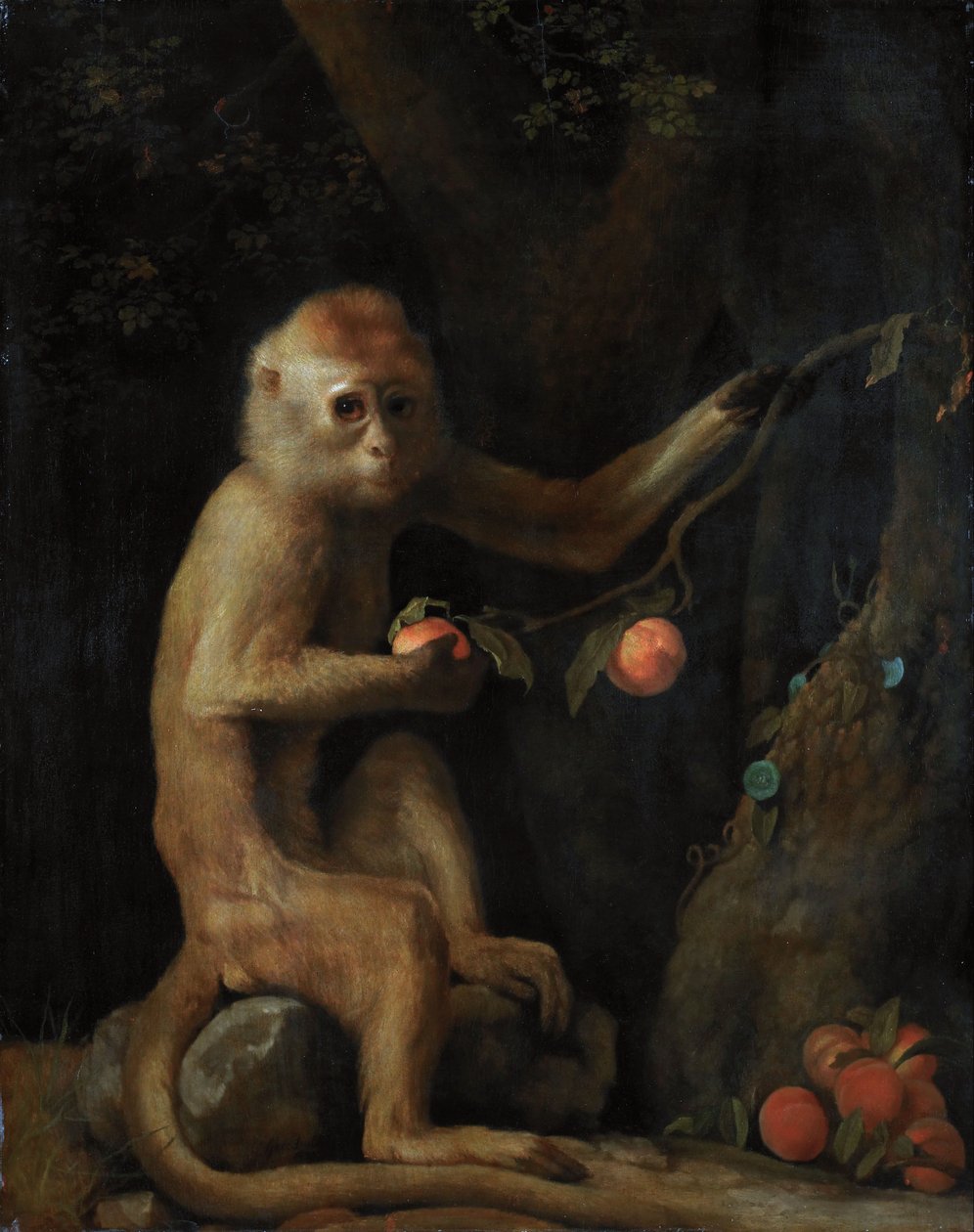 A Monkey by George Stubbs